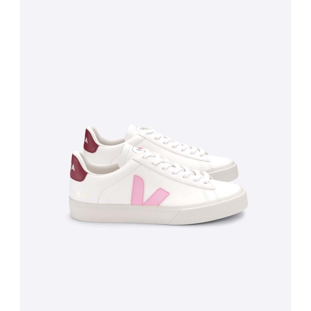 Veja CAMPO CHROMEFREE Low Tops Sneakers Férfi White/Pink | HU 193WNB